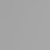 47 Grey Parasolglass