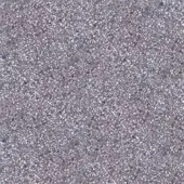 740X740 KUMA QUARTZ6